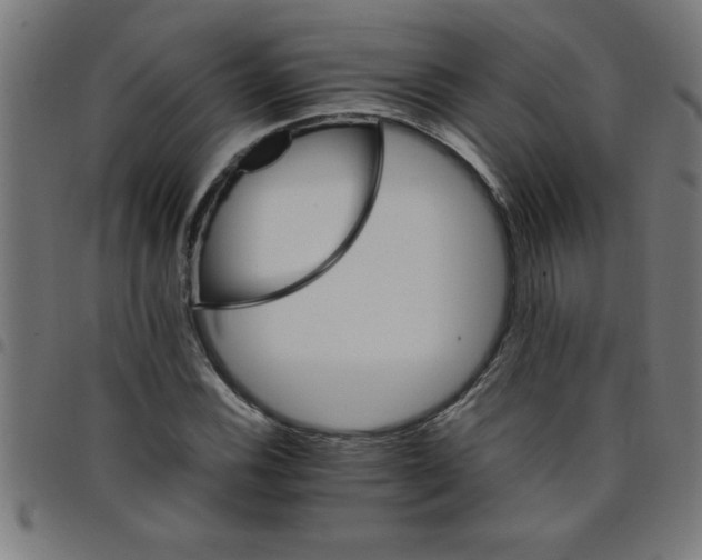 X0000098041116200804251033