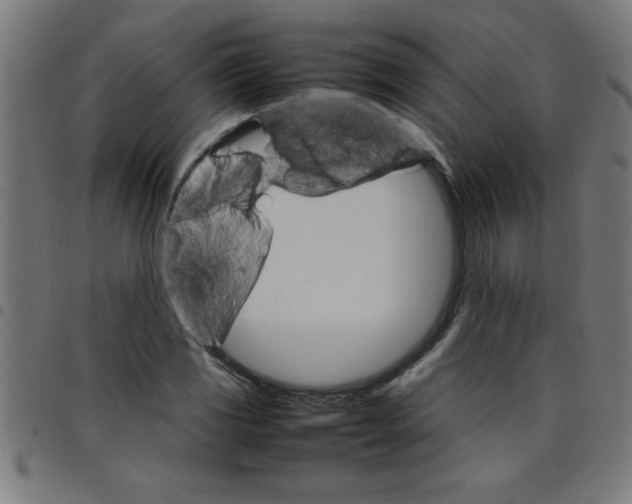 X0000098041117200804251033