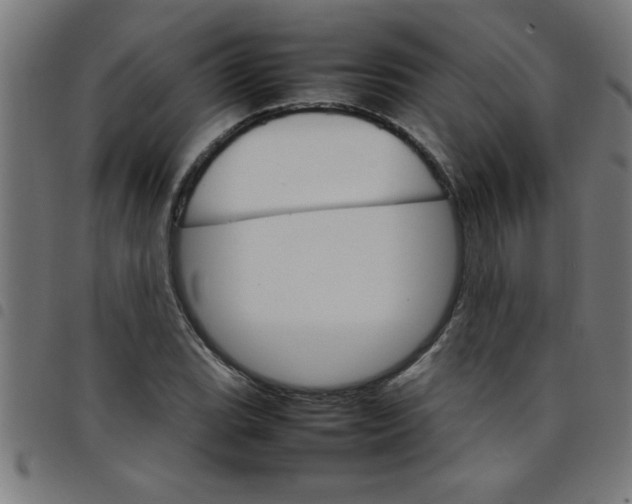 X0000098041119200804251033