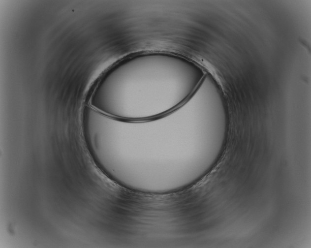 X0000098041120200804251033