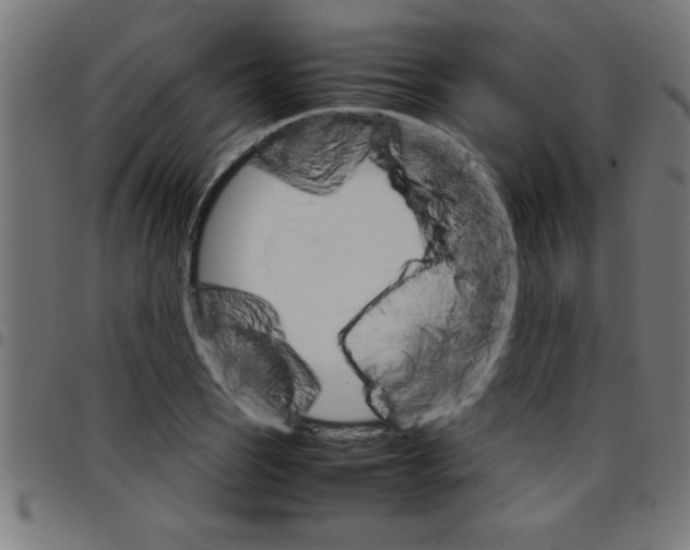 X0000098041121200804251033