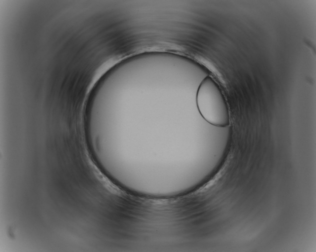 X0000098041122200804251033