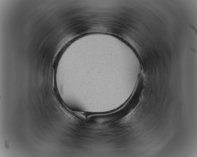 X0000098041123200804251033