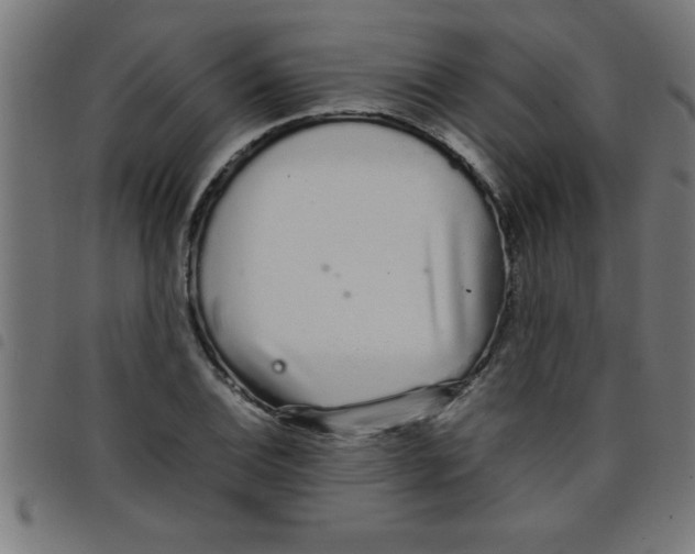 X0000098041124200804251033