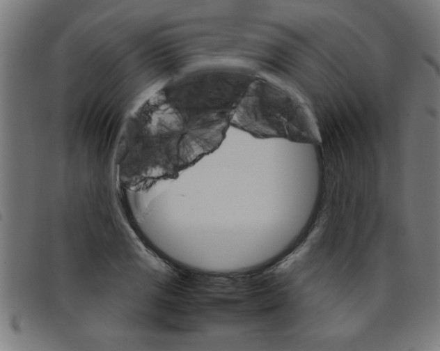 X0000098041125200804251033