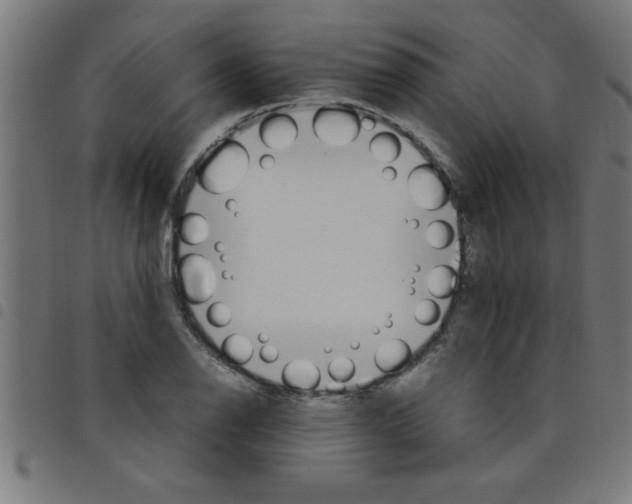 X0000098041126200804251033