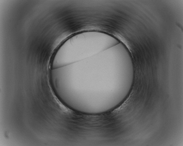 X0000098041127200804251033