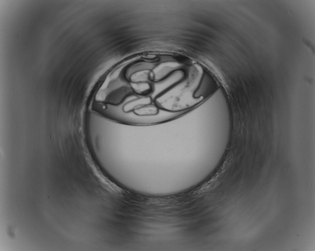 X0000098041128200804251033