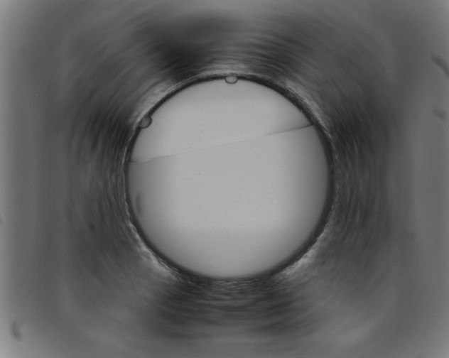 X0000098041129200804251033