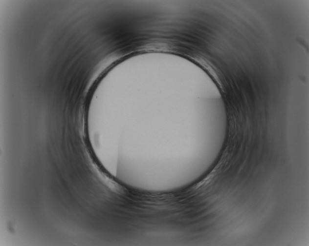 X0000098041131200804251033