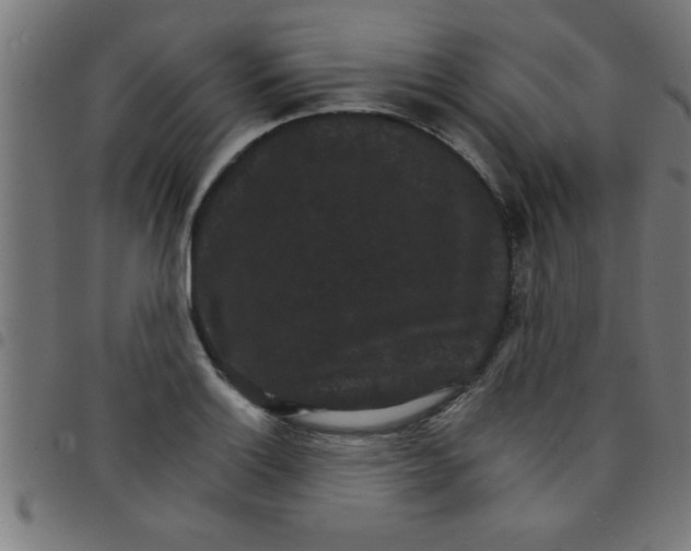 X0000098041132200804251033