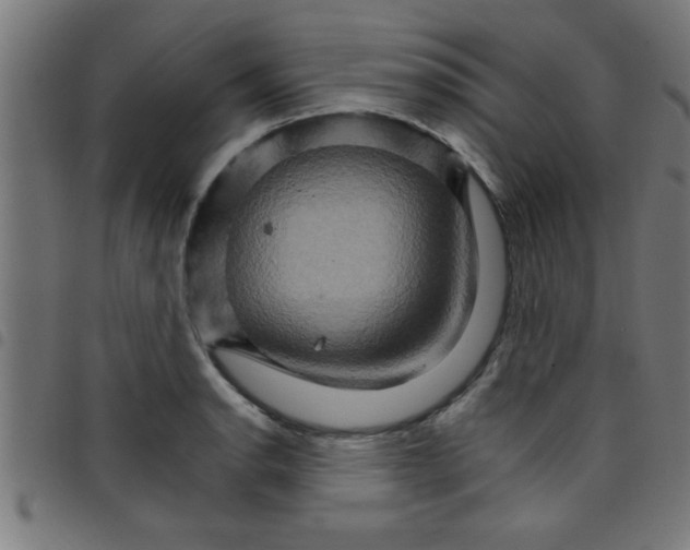 X0000098041134200804251033