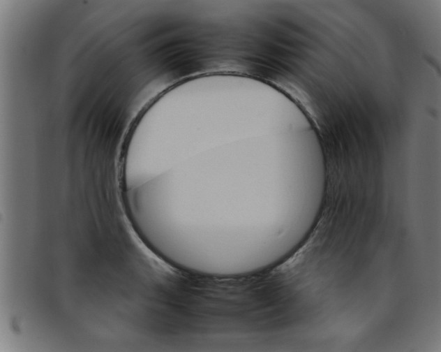 X0000098041135200804251033