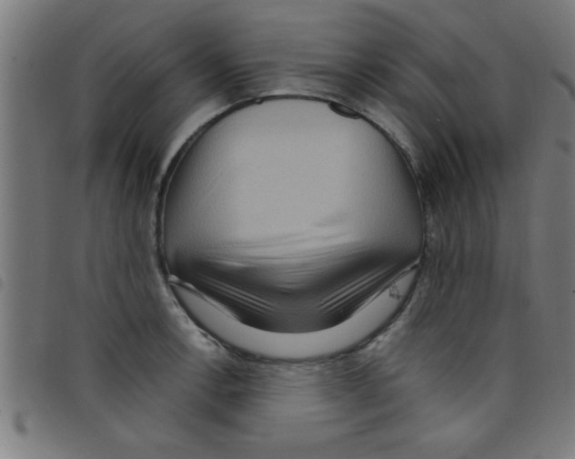 X0000098041138200804251033