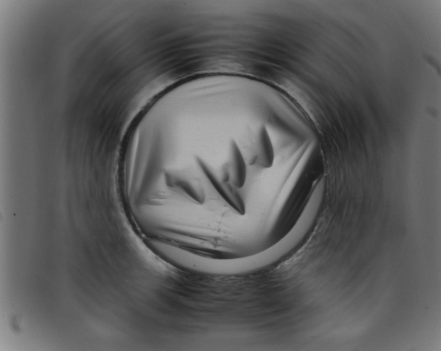 X0000098041139200804251033