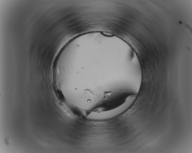 X0000098041140200804251033