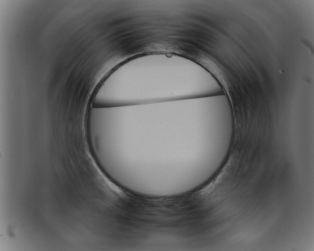 X0000098041141200804251033