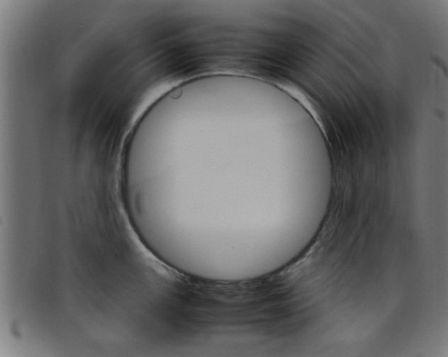 X0000098041147200804251033