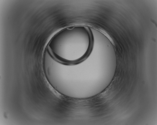 X0000098041148200804251033