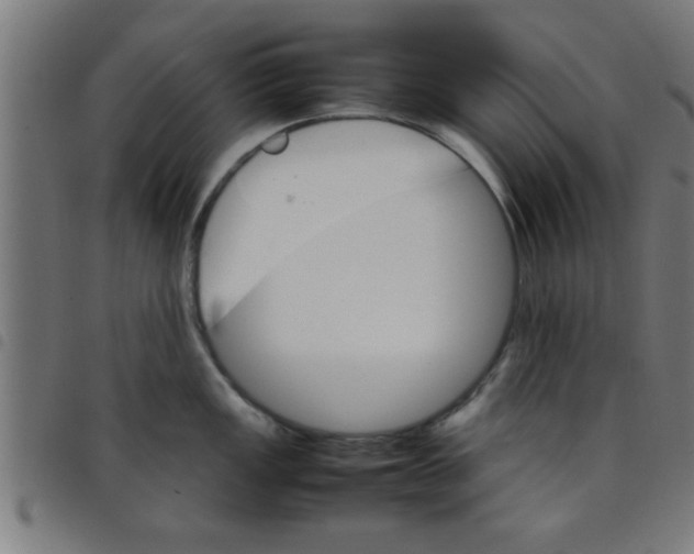 X0000098041149200804251033