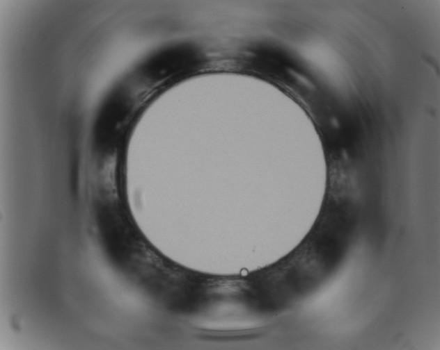 X0000098041150200804251033