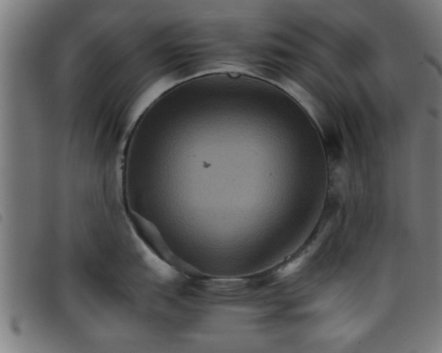 X0000098041151200804251033