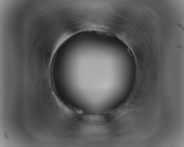 X0000098041152200804251033