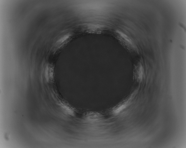 X0000098041154200804251033