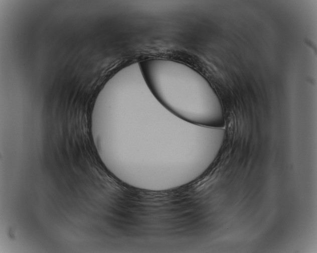 X0000098041156200804251033