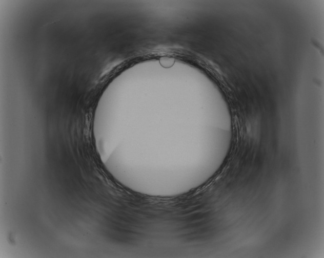 X0000098041158200804251032