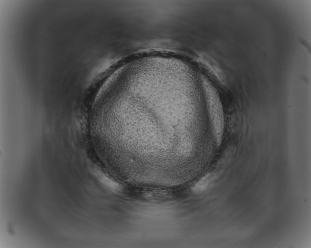 X0000098041159200804251032