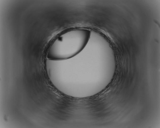 X0000098041160200804251032