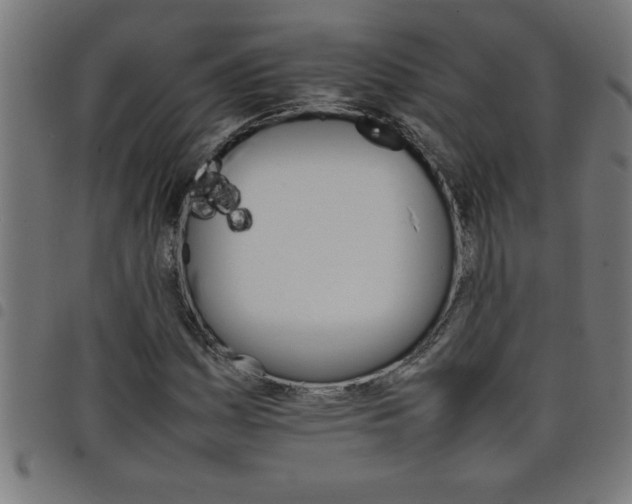 X0000098041161200804251032