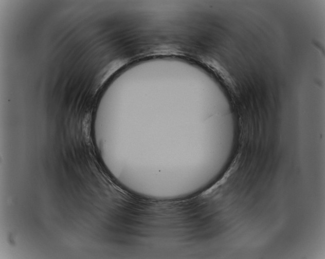 X0000098041162200804251032