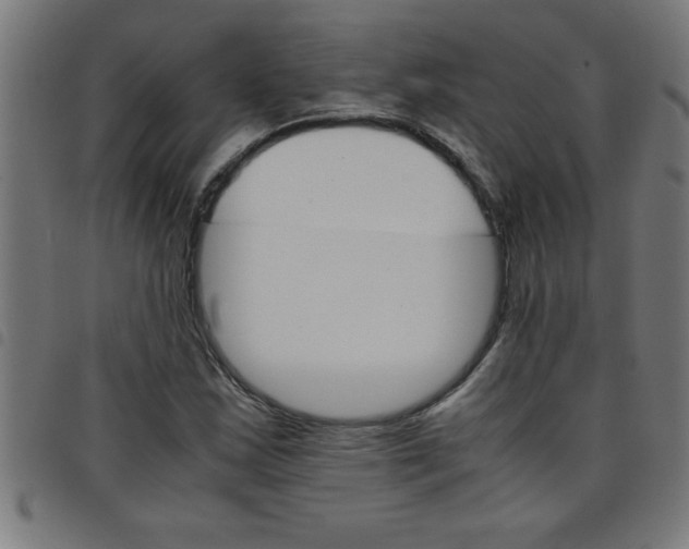 X0000098041163200804251032