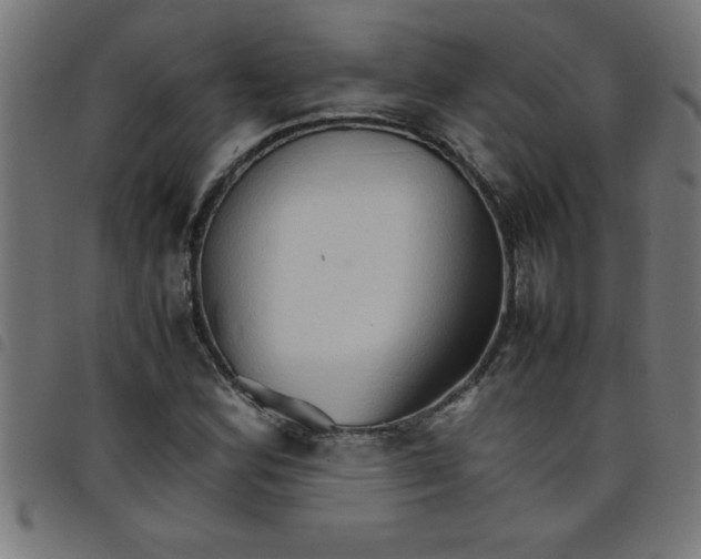 X0000098041164200804251032