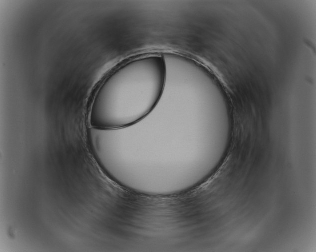 X0000098041168200804251032