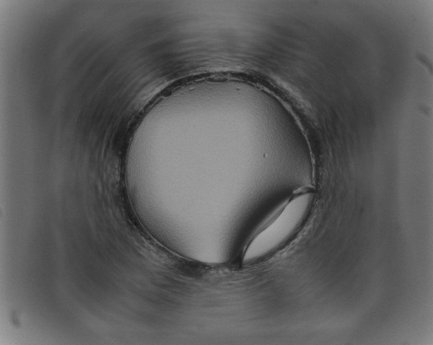 X0000098041169200804251032