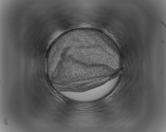 X0000098041171200804251032