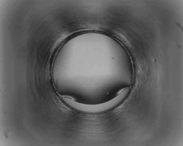 X0000098041172200804251032