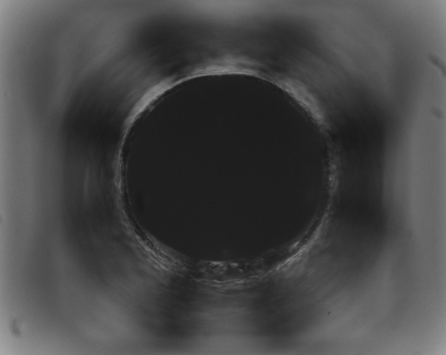 X0000098041173200804251032