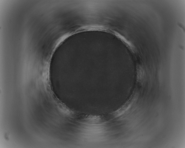 X0000098041174200804251032