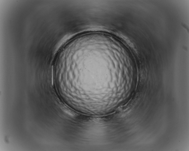 X0000098041175200804251032