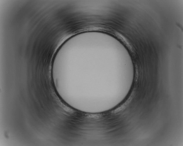 X0000098041178200804251032