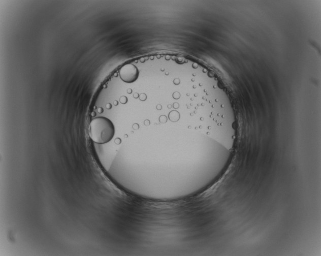 X0000098041182200804251032