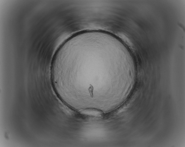 X0000098041183200804251032