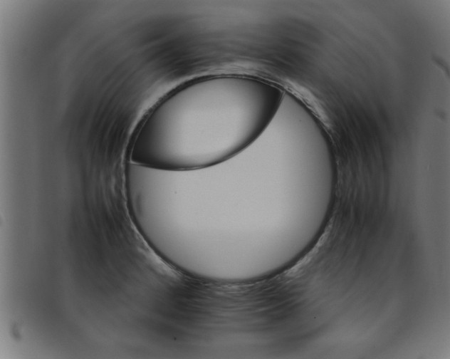 X0000098041184200804251032