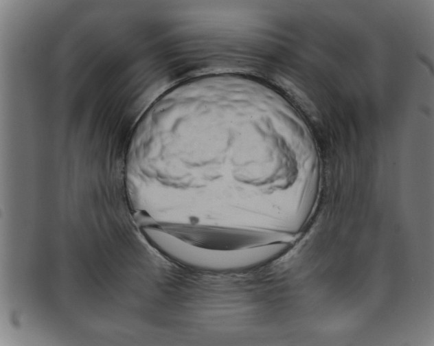 X0000098041185200804251032