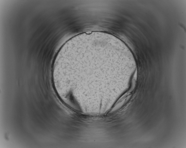 X0000098041187200804251032