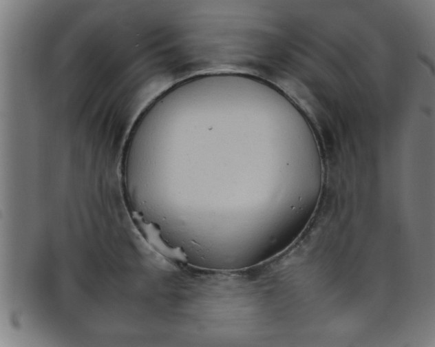 X0000098041189200804251032